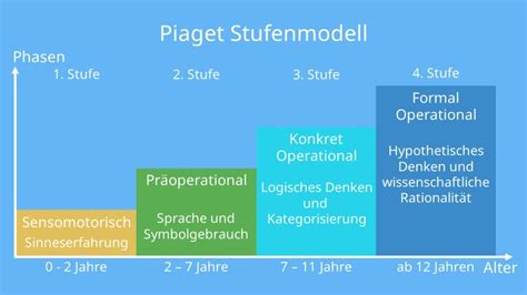 piaget phasen der kognitiven entwicklung